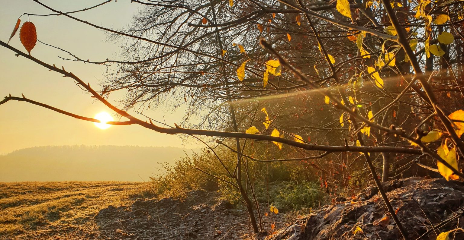Was ist ein Waldkindergarten – Waldkinder­garten Obersontheim