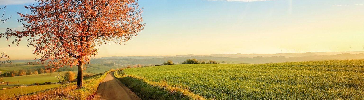  Foto zu Anfahrt – Waldkindergarten Obersontheim 
