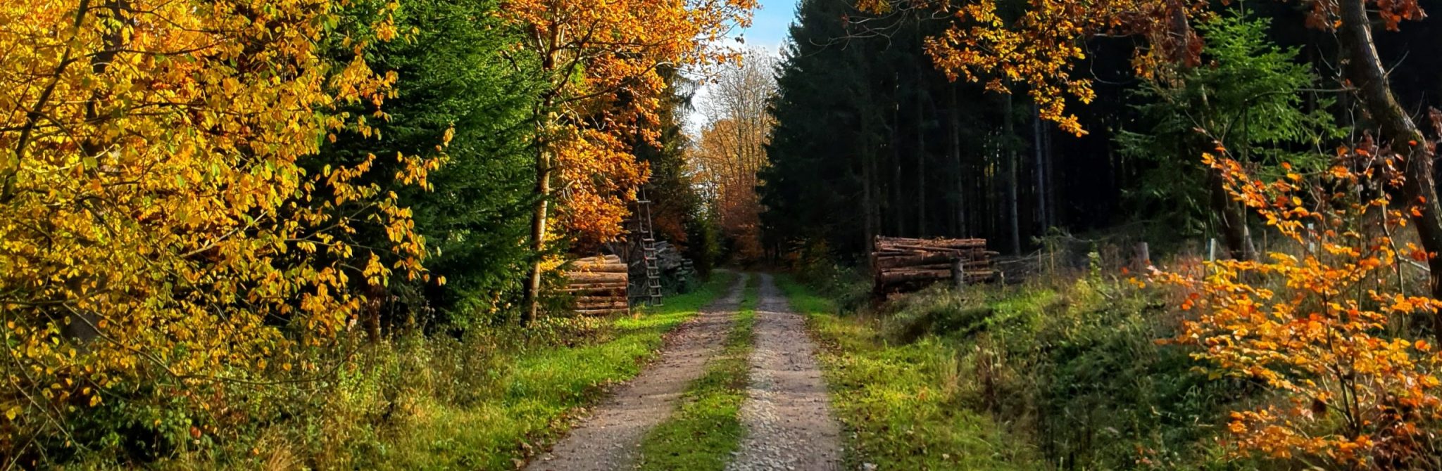 Kontakt – Waldkinder­garten Obersontheim